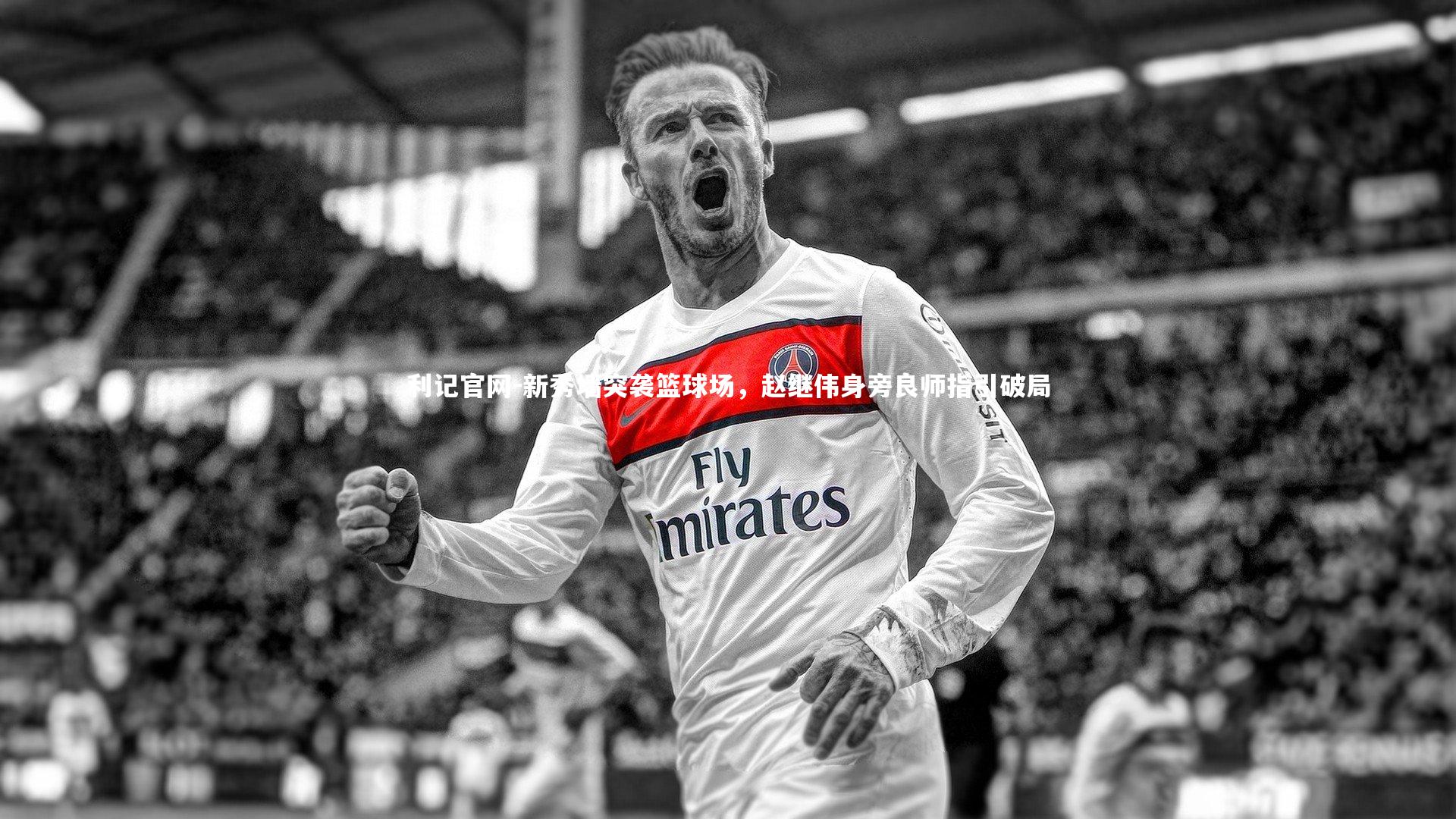 新秀墙突袭篮球场,赵继伟身旁良师指引破局